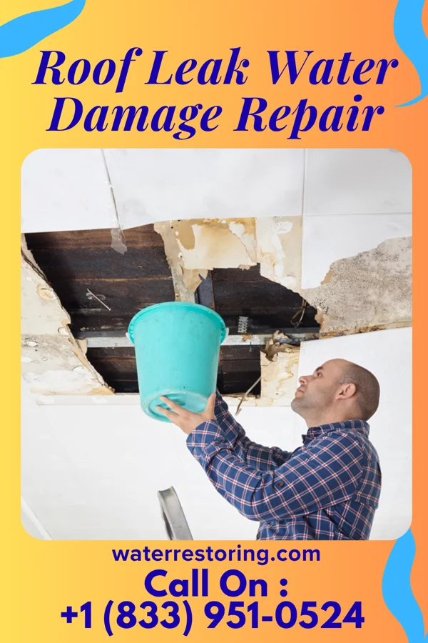 Roof Leak Water Damage Repair in Prairie City, OR